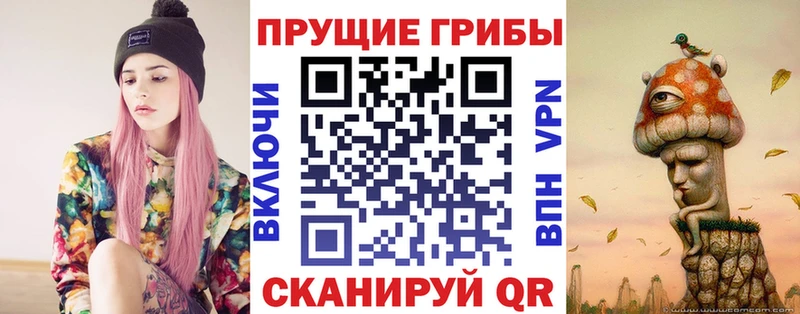 цены   Коркино  Галлюциногенные грибы Cubensis 